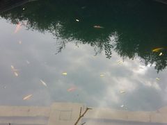 -习家池