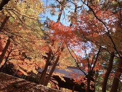 -北海道神宫