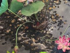 -儒之堂足道·推拿·SPA(安徽安庆店)