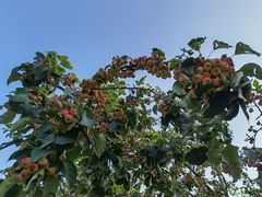 -春晖园度假酒店温泉