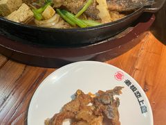 -老板恋上鱼(振华商厦店)