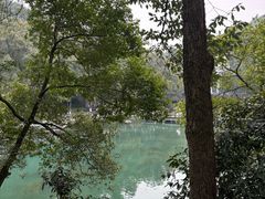 -忠山公园