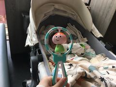 -海底捞火锅(老城根店)