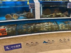 -福娣·金沙银贝海鲜火锅