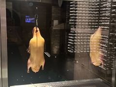 -四季民福烤鸭店(外滩外白渡桥店)