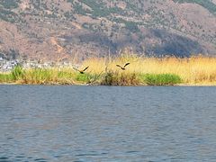 -大理洱源西湖景区