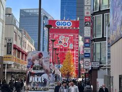 -Animate(秋叶原本馆)