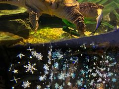 -沈阳海洋探索中心