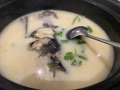 -魁鱼馆·千岛湖金陵山水啤酒温泉酒店