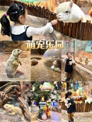 -宝燕乐园(闵行旗舰店)