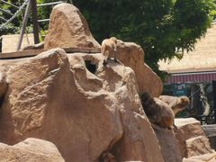 -西安秦岭野生动物园