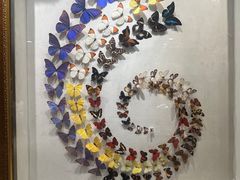 -广州白天鹅宾馆