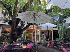 -Fern Forest Cafe