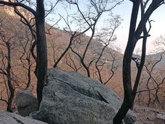 -泰山风景名胜区