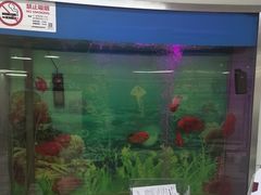 -雅悦齿科(顾村公园店)
