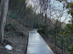 -上海佘山国家森林公园西佘山园