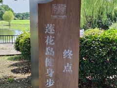 -莲花岛景区
