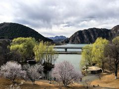 -北京中信金陵酒店