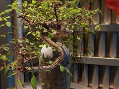 -食锦记·福建私房菜(浦西万达店)