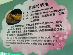 -上海大自然野生昆虫馆(东方明珠·爬宠昆虫探索中心)
