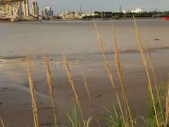 -芒洲湿地公园