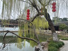 -水绘园