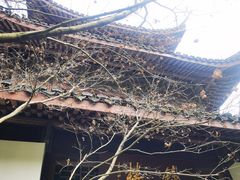 -宋宴(虎跑店)