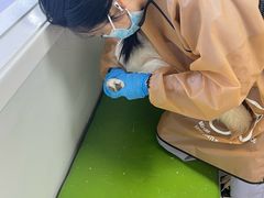 -达爱动物医院·犬猫分区·CT·复杂眼科(远洋山水分院)