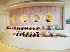 -大连森林动物园熊猫馆纪念品商店