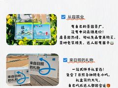 -日照灯塔风景区