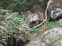 -木兰云雾山