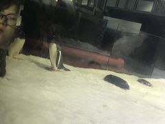 -悉尼海洋生物水族馆