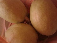 -PAGODA百果园(湛江城市美林店)