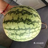 金羊阿爹家宴之美味黄西瓜