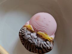 -稻香村(文殊院旗舰店)