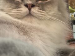 -平行世界·猫咖(首经贸店)