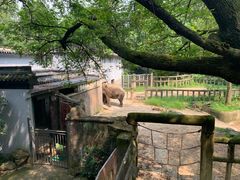 -手工艺活态馆