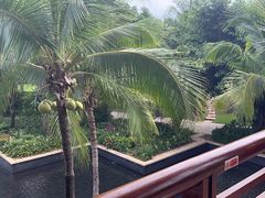 -亚龙湾喜来登·美景台大堂吧