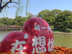 -上海鲜花港