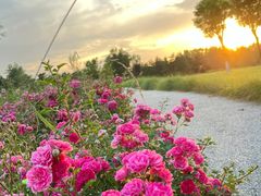 -汉长安城未央宫国家考古遗址公园