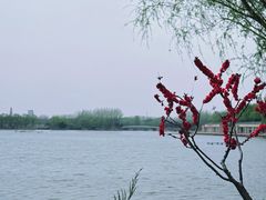 -大兴滨河森林公园