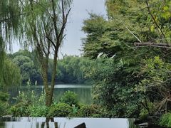 -杭州西子湖四季酒店-WL BISTRO西湖餐厅(灵隐路店)