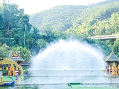 -西双版纳原始森林公园