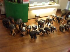 -班达拉奈克国际机场