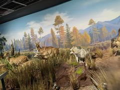 -陕西自然博物馆