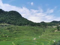 -罗田天堂寨风景区
