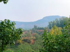 -井塘古村