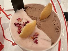 -莉莉熊Lililove Gelato (意大利手工冰淇淋)