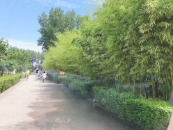 -上美四季动物农场