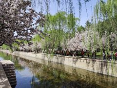 -元大都城垣遗址公园